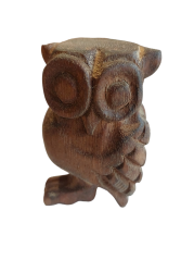 Hudobná sova stredná