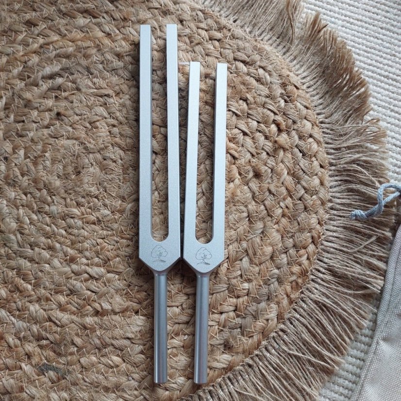 Set terapeutických ladiček C G 256 Hz + 384 Hz hliník CZ