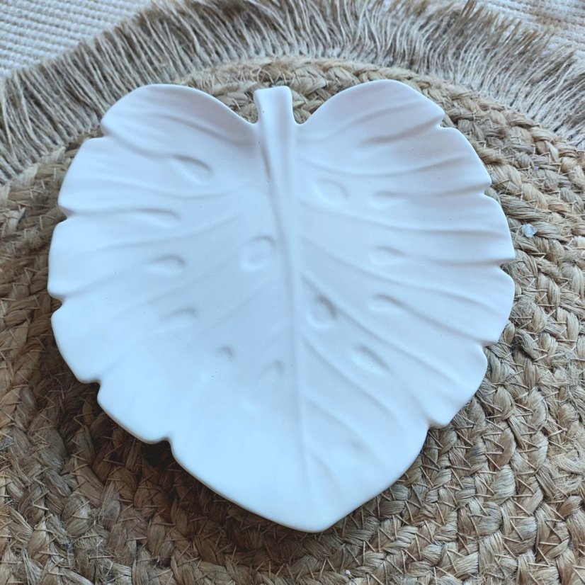 Miska Monstera