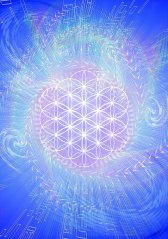 Karty posvátné síly