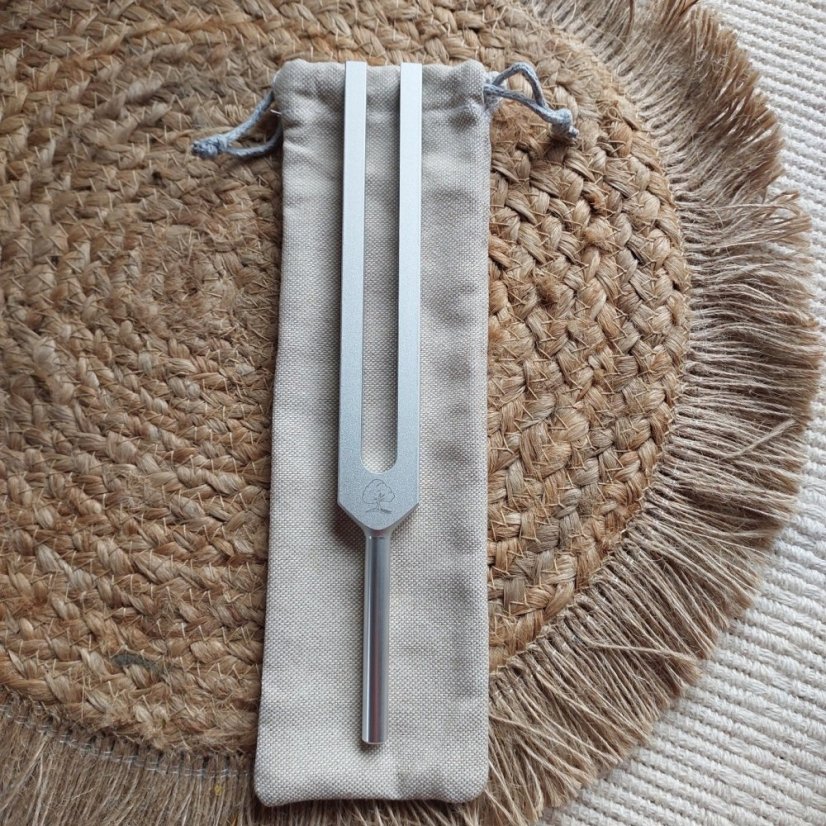 Terapeutická ladička 315,8 Hz Mozek hliník CZ