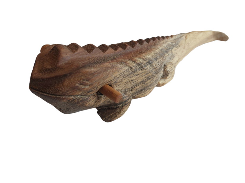 Hudobné zvieratko Iguana