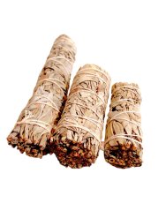 Vykurovací zväzok Biela šalvia střední