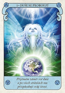 Karty vědomé duše