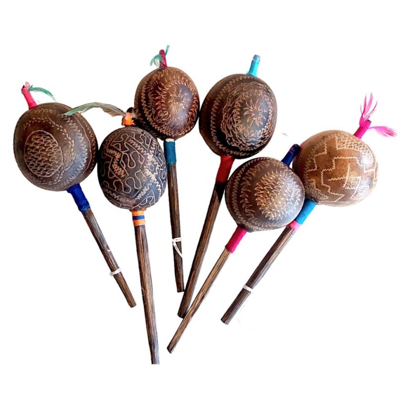 Šamanské chřestidlo větší