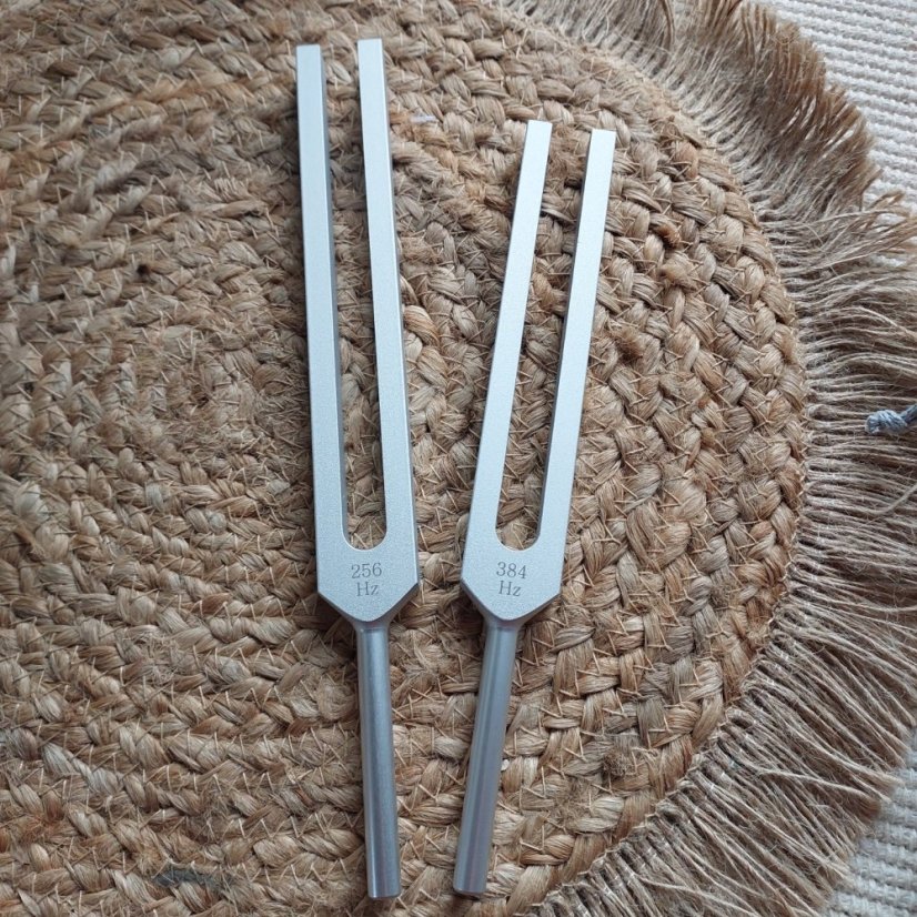 Set terapeutických ladiček C G 256 Hz + 384 Hz hliník CZ