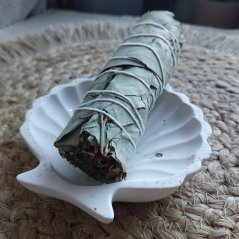 Vykurovací zväzok  Eukalyptus