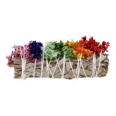 Vykurovací zväzok s Bielou šalviou 7 čaker