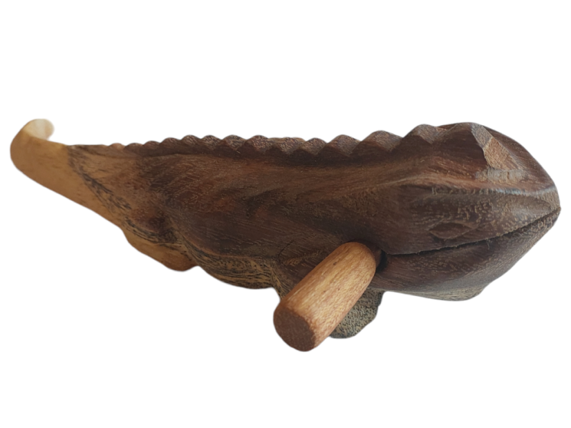 Hudobné zvieratko Iguana