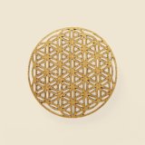 Flower of life