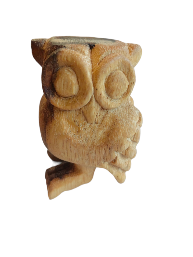 Hudobná sova stredná