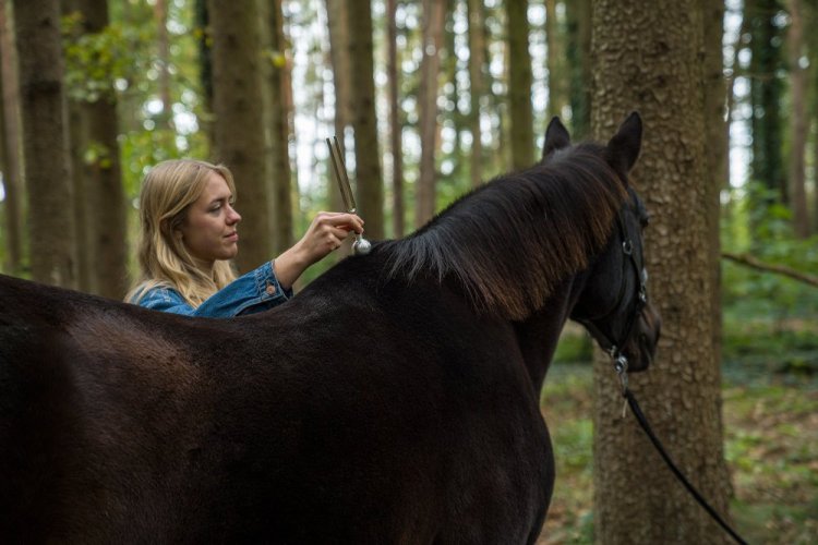 Vibrační kulatá koncovka na terapeutickou ladičku velká Sonic Energy