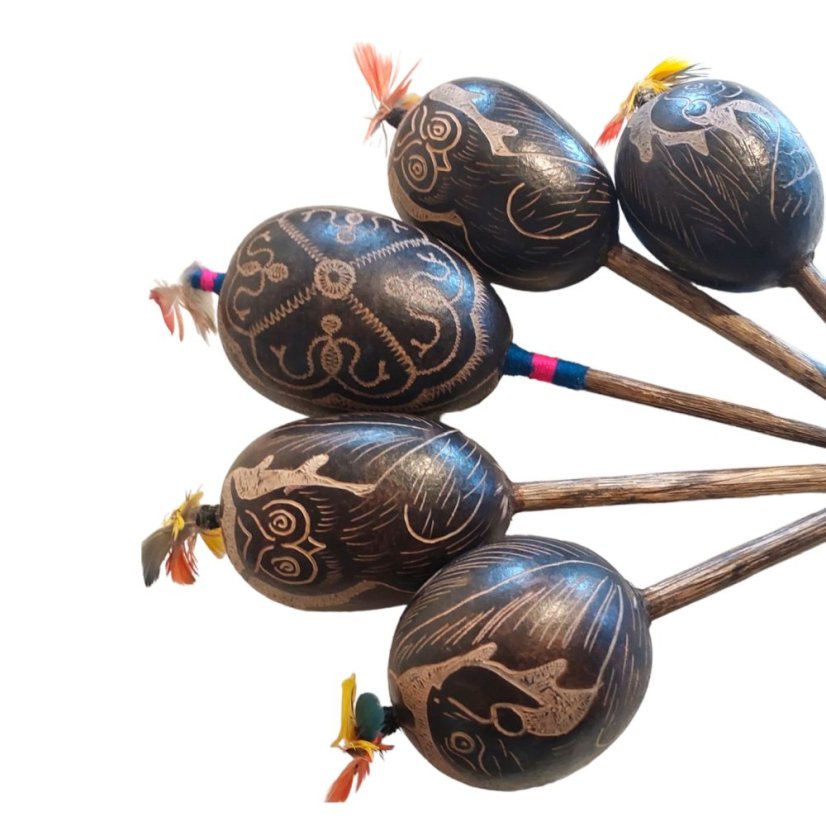 Šamanské chrastidlo obrie