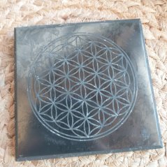 Šungit Destička Květ života 10x10cm, leštěná