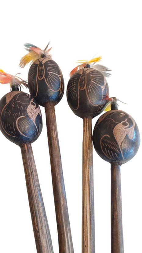 Šamanské chřestidlo