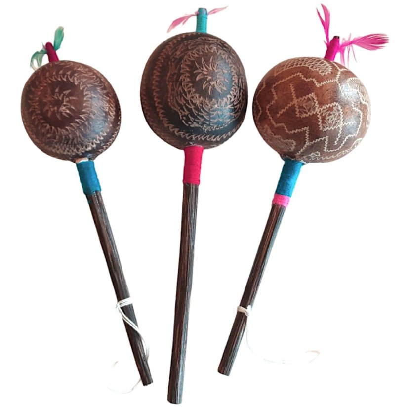 Šamanské chřestidlo větší