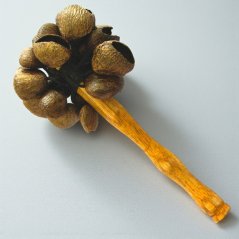 Chrastítko Pangi