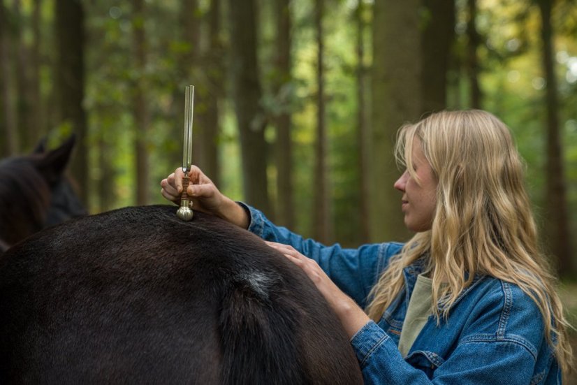 Vibračná okrúhla koncovka pre terapeutickú ladičku stredná Sonic Energy