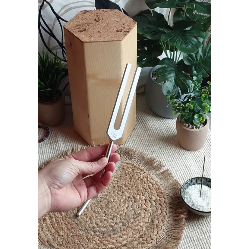 Terapeutická ladička 220 Hz Plíce hliník CZ