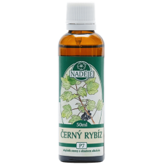 Tinktúra z púčikov Čierne ríbezle - imunita, alergie