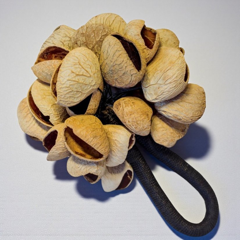 Chřestidlo Pangi s poutkem