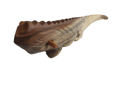Hudobné zvieratko Iguana