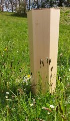 Harmonizing rain pillar 70 cm beech