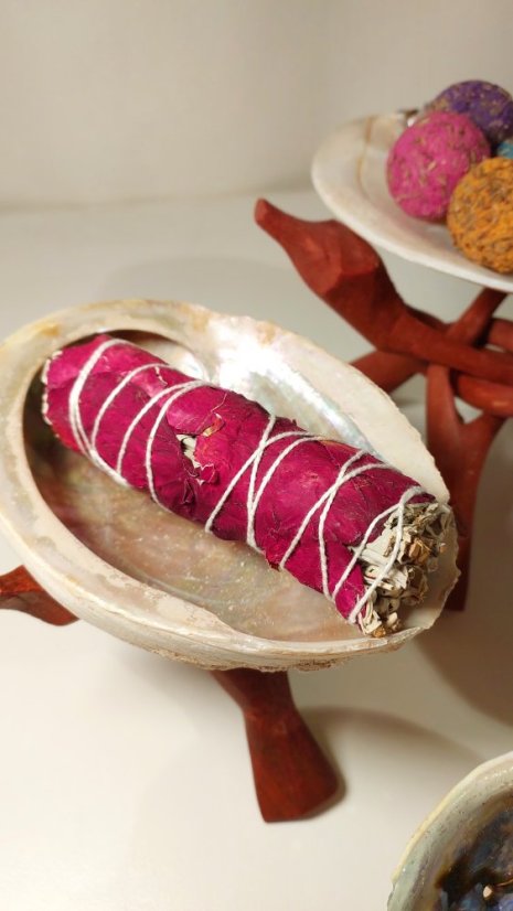 Škrupina na vykurovanie Haliotis diversicolor M