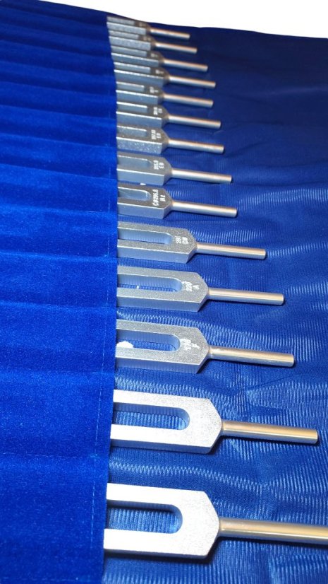 Terapeutické ladičky Orgány set hliník