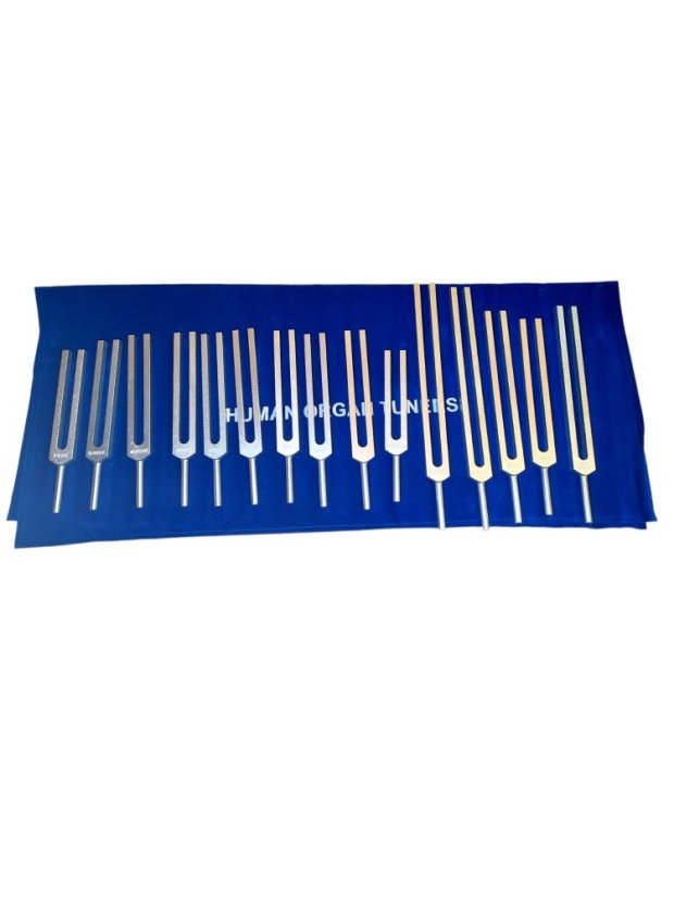 Terapeutické ladičky Orgány set hliník