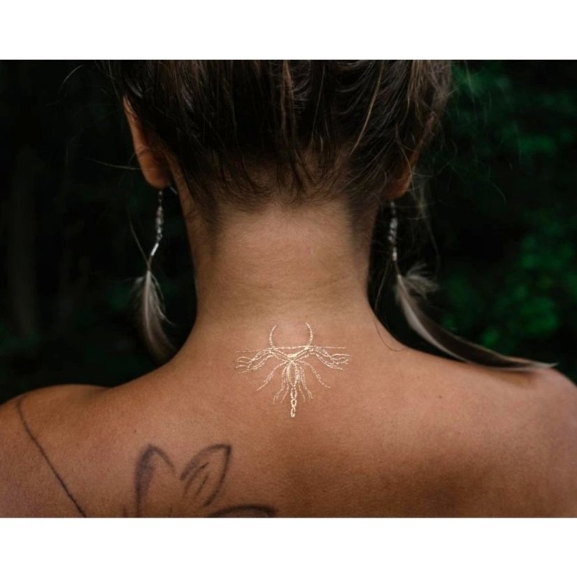 Dočasné tetovanie „Semienko Eywy“