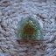 Pyramida Orgonit  Peridot (Olivín)
