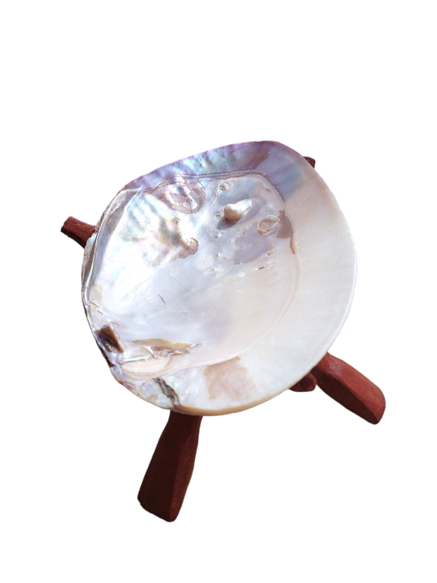 Mušľa na vykurovanie Mušľa perlorodky s perlou