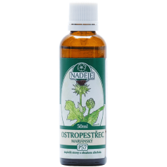 Tinktúra z púčikov Ostropestrec mariánsky - detox