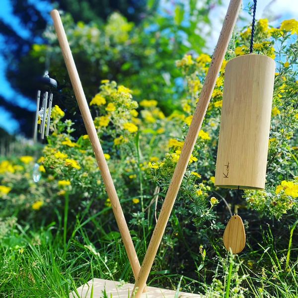 Stojan Pisa na 2 zvonkohry Koshi a Shanti