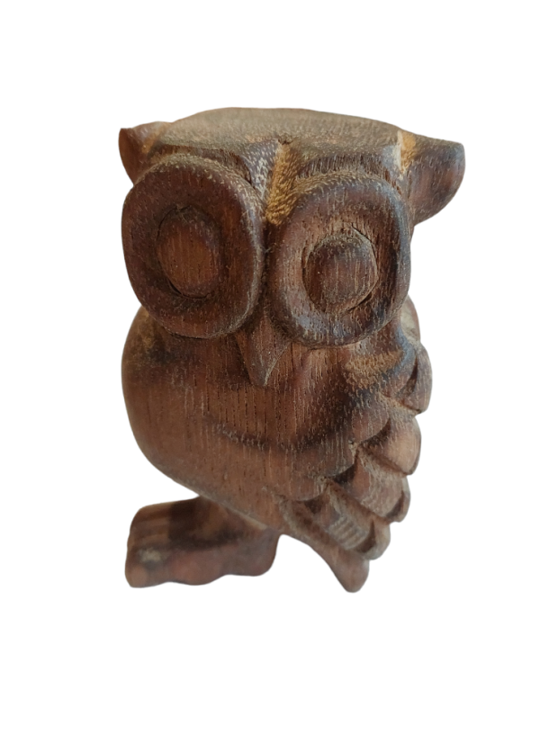 Hudobná sova stredná