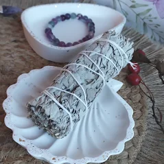 Miska na vykurovanie Zlatá mušľa