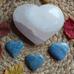 Růženín srdca 11 cm